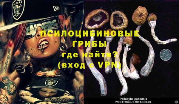 шишки Вязники