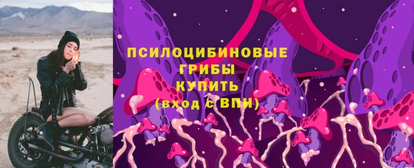 шишки Вязники