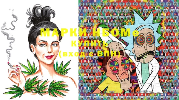шишки Вязники